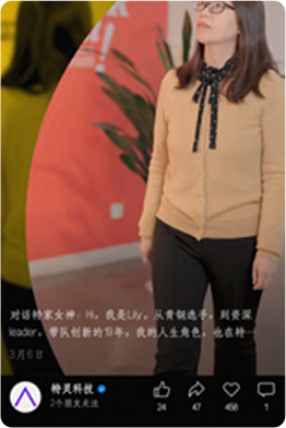 案例截图